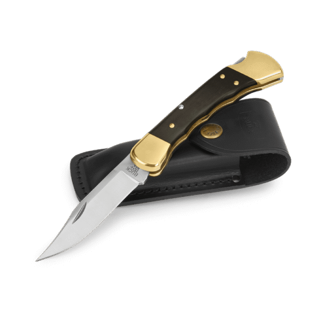 0110 Buck 110 Folding Hunter Knife