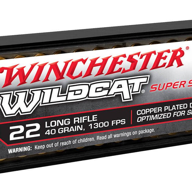 .22LR Winchester Wildcat - 100 Rounds