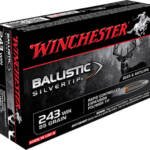 .243WIN Winchester 95gr Ballistic Silvertip - 20 Rounds