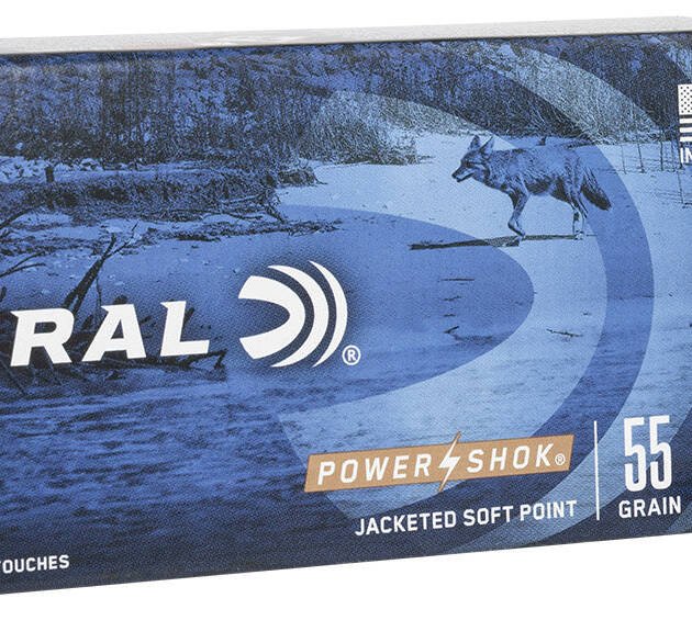 .223REM Federal 55gr Soft Point - 20 Rounds