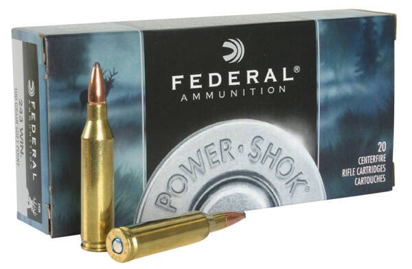 .243WIN Federal 100gr Jacketed Soft Point - 20 Rounds