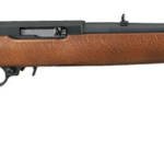 Ruger 10/22 .22LR