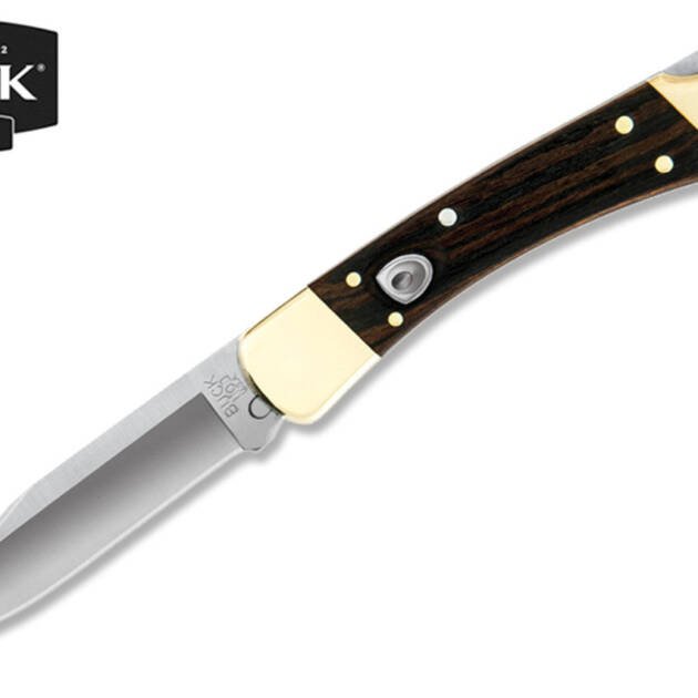 0110 Buck 110 Automatic Folding Hunter Knife