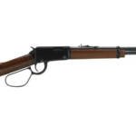 Henry Mare's Leg .22LR