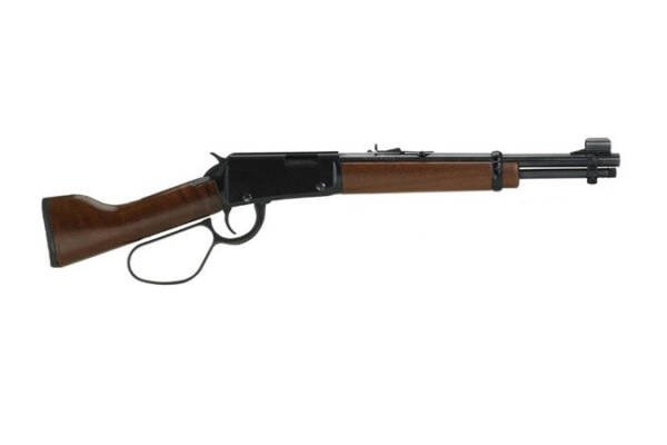Henry Mare's Leg .22LR