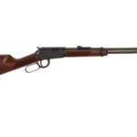Henry Varmint Express .17HMR