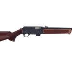 Henry Homesteader 9MM