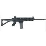 Sig Sauer 556 SWAT Rifle & Swiss Folding Stock