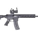Smith & Wesson M&P15-22 Sport OR .22LR