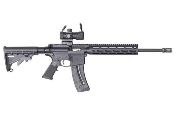 Smith & Wesson M&P15-22 Sport OR .22LR