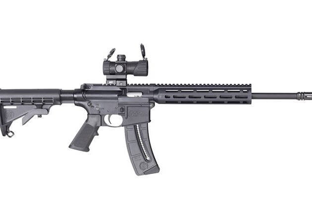 Smith & Wesson M&P15-22 Sport OR .22LR
